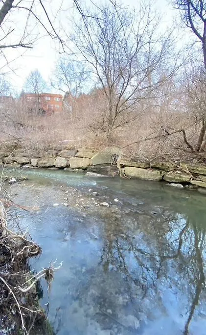 Serene Don River Retreat- 2Br Suite, Private Patio, Free Breakfast & Parking Toronto Apartment